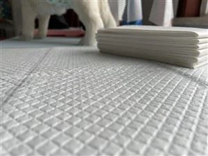 แผ่นรองฉี่ลูกสุนัขใช้เป็นอุปกรณ์ช่วยฝึกสำหรับลูกสุนัขหรือสุนัขโต