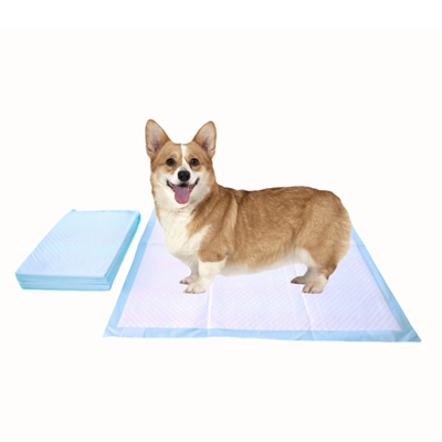แผ่นรองฉี่สัตว์เลี้ยงแบบใช้แล้วทิ้งป้องกันการเคี้ยว-สำหรับการดูแลสุขอนามัยของสุนัข
