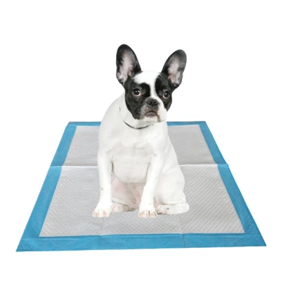 แผ่นห้องน้ำสุนัขแบบใช้แล้วทิ้งพร้อมเทคโนโลยีการบีบอัดสุญญากาศ